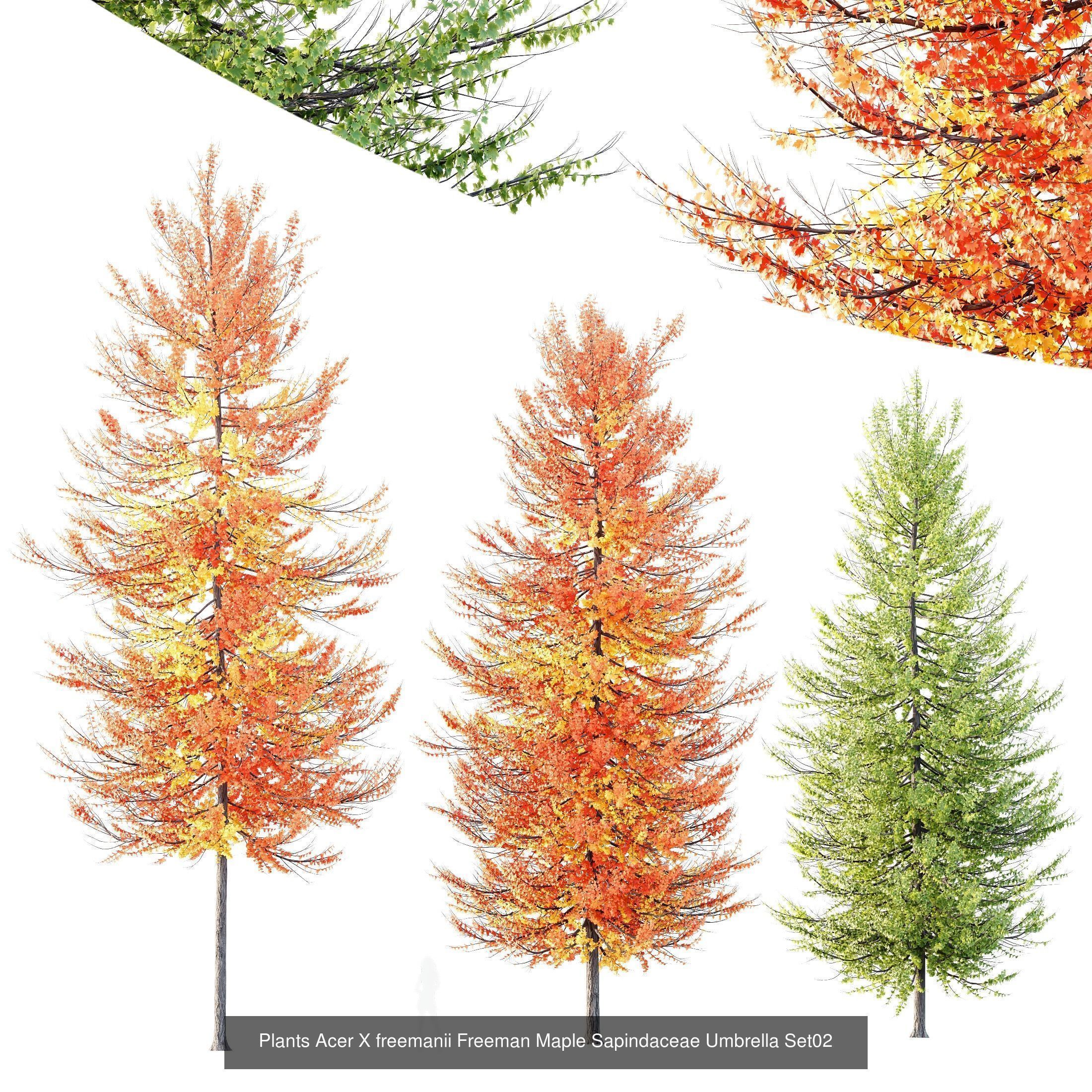 6 Different SETS of Tree SET VOL120 3D Model Collection_5