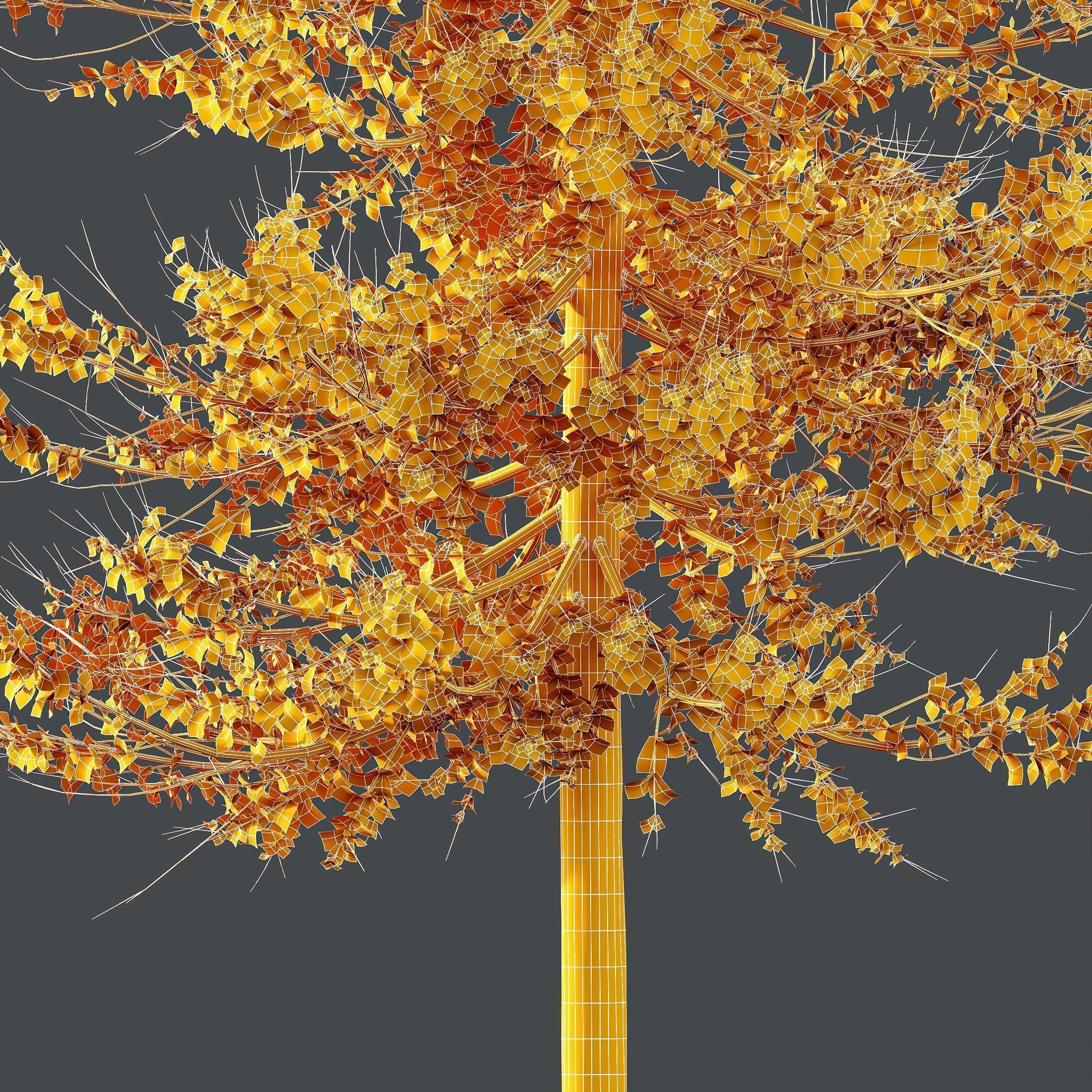 6 Different SETS of Tree SET VOL120 3D Model Collection_13