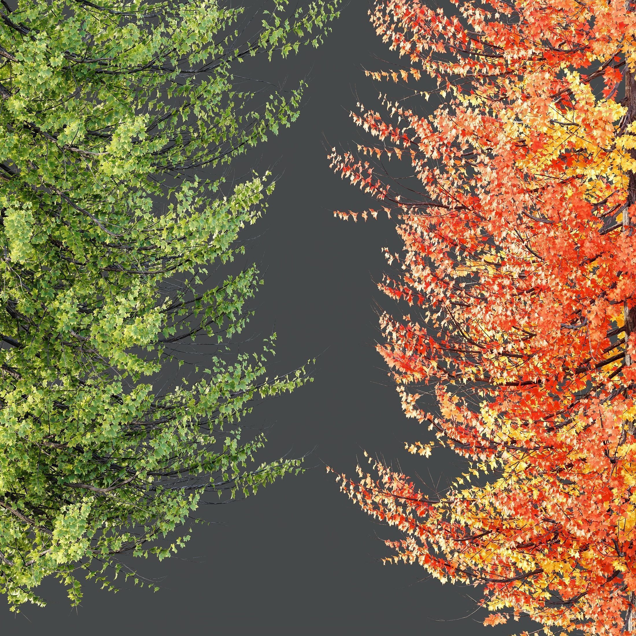 6 Different SETS of Tree SET VOL120 3D Model Collection_11