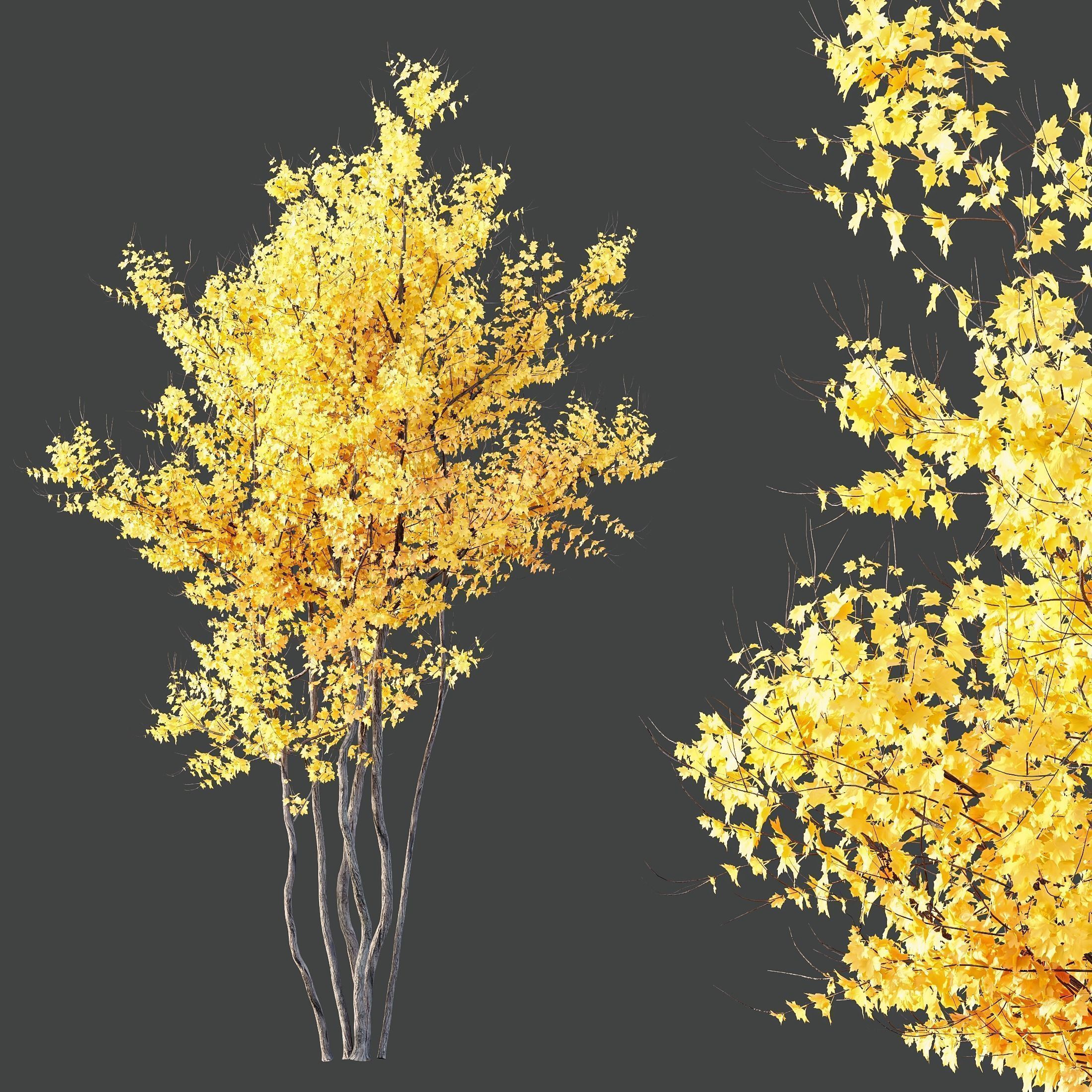 6 Different SETS of Tree SET VOL120 3D Model Collection_8