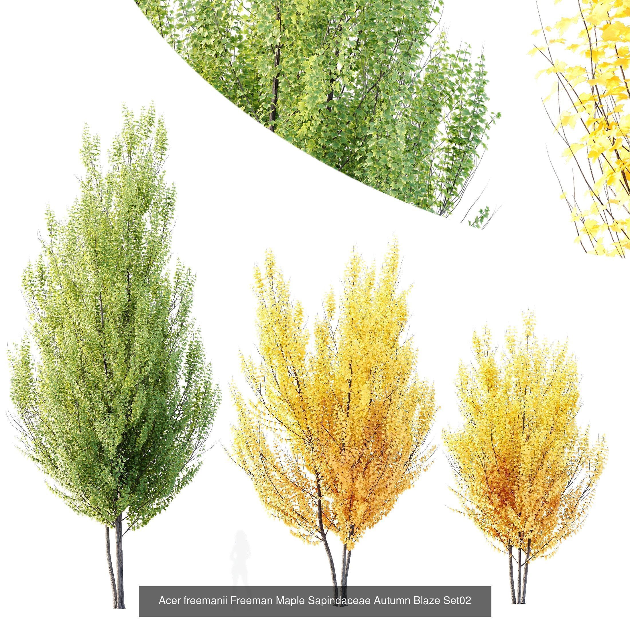6 Different SETS of Tree SET VOL120 3D Model Collection_1