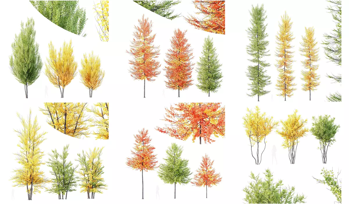 6 Different SETS of Tree SET VOL120 3D Model Collection_0