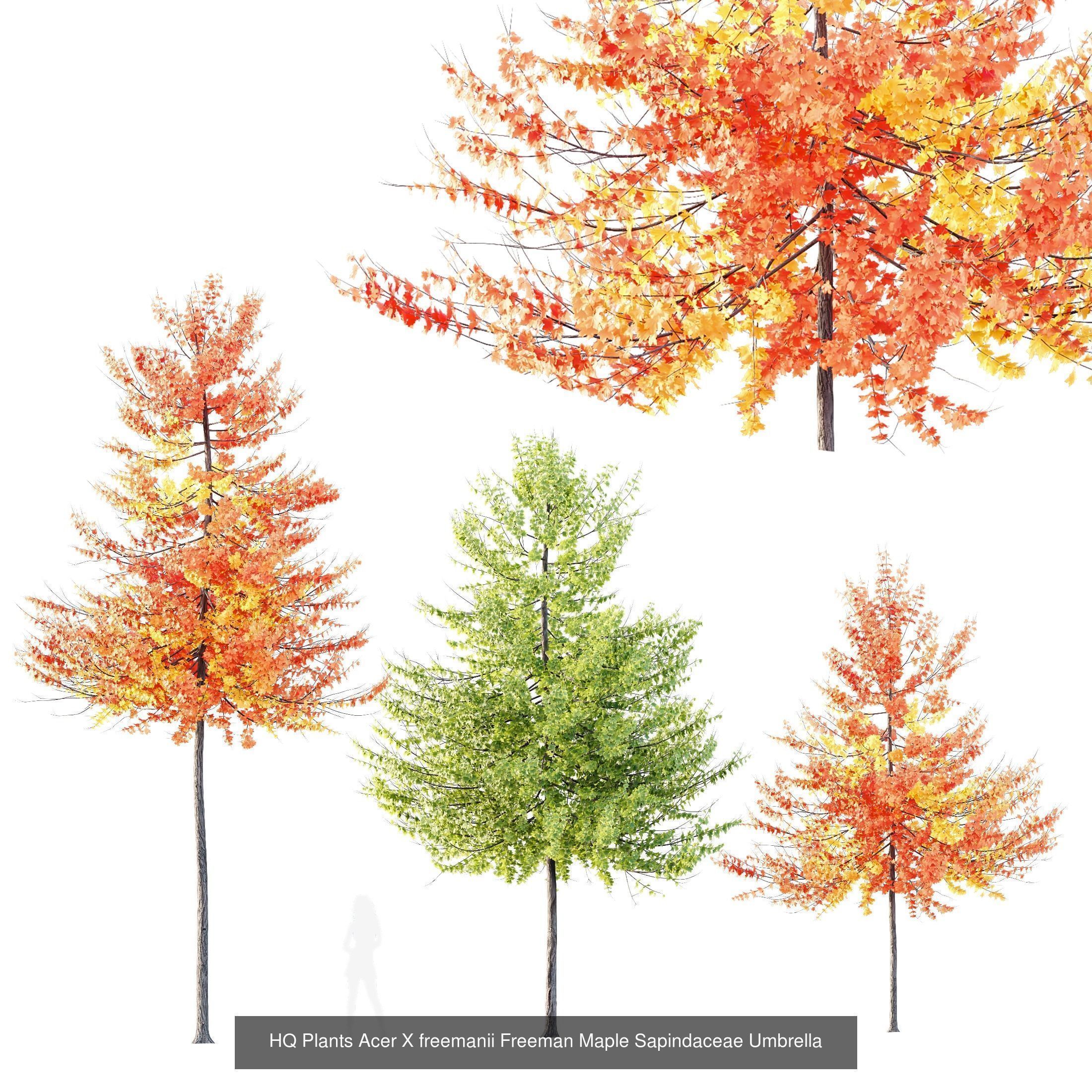 6 Different SETS of Tree SET VOL120 3D Model Collection_2