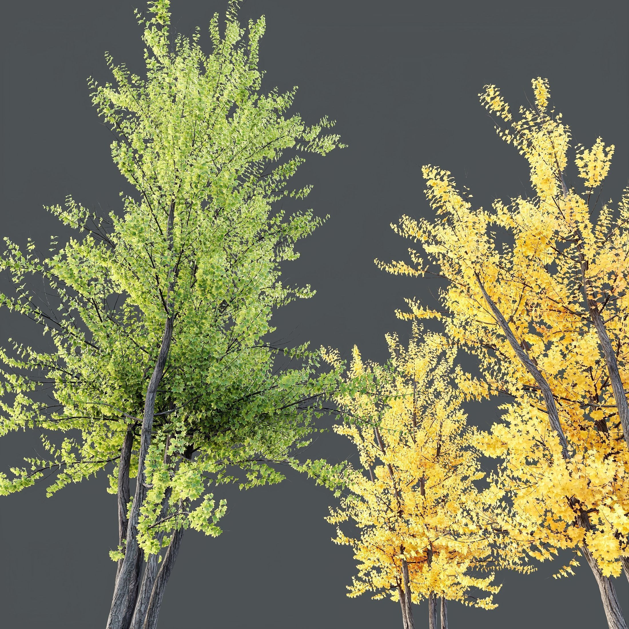 6 Different SETS of Tree SET VOL120 3D Model Collection_9