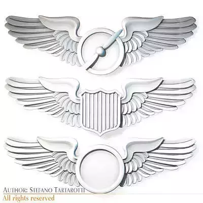 Wings badges