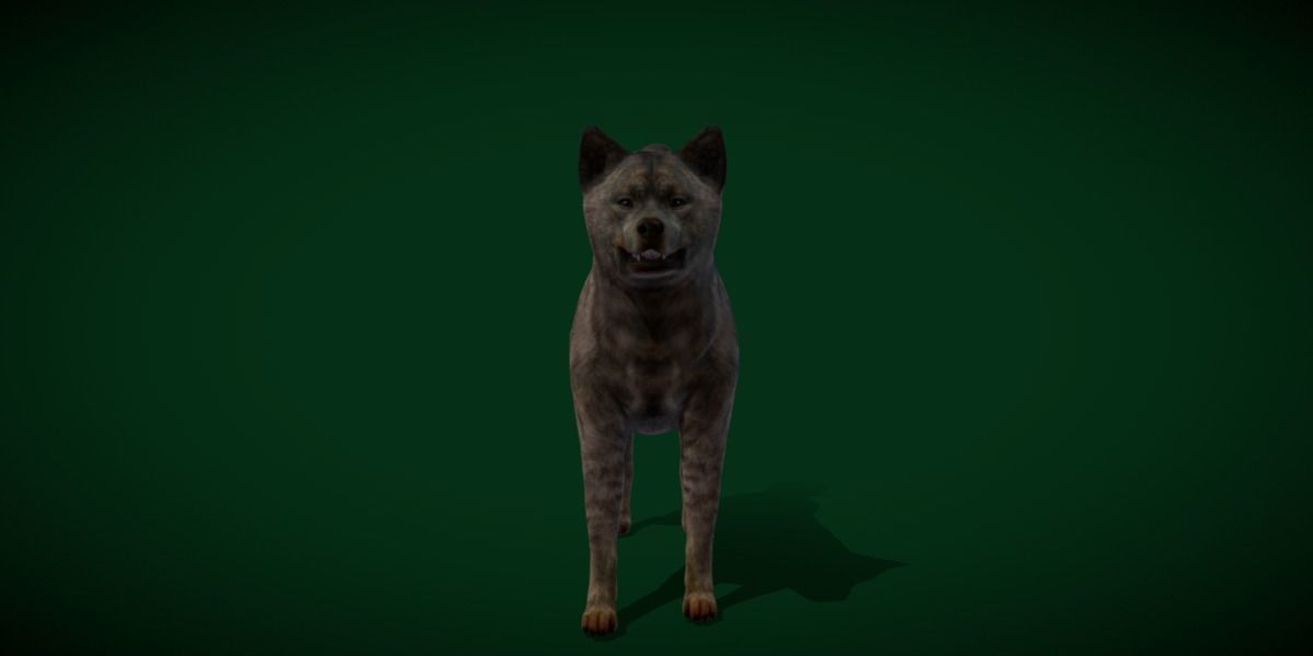 Kai Ken Tora Inu Dog Breed 3D model_6