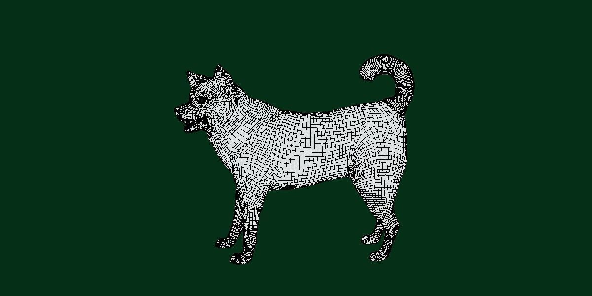 Kai Ken Tora Inu Dog Breed 3D model_8