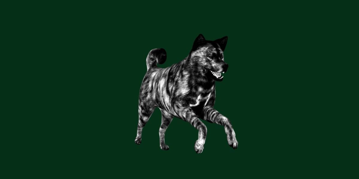 Kai Ken Tora Inu Dog Breed 3D model_17