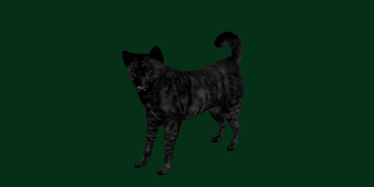 Kai Ken Tora Inu Dog Breed 3D model_19