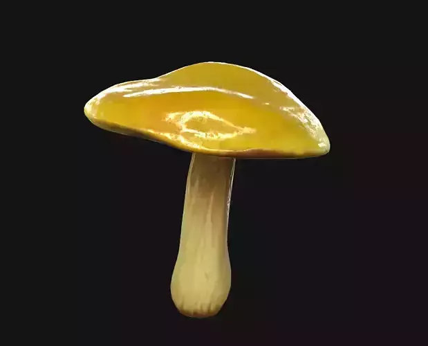Yellow Mushroom Low-poly 3D model