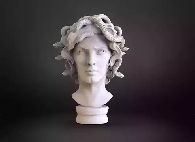 Medusa Bust