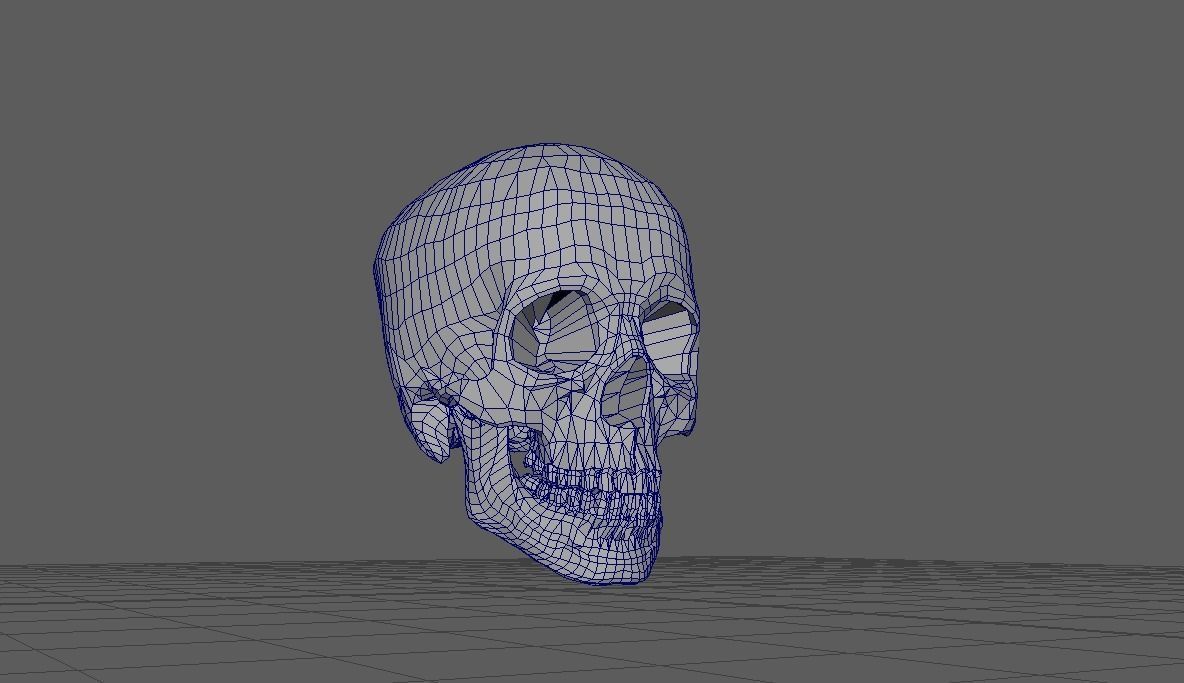 low-cost human skull replica Low-poly 3D model_3