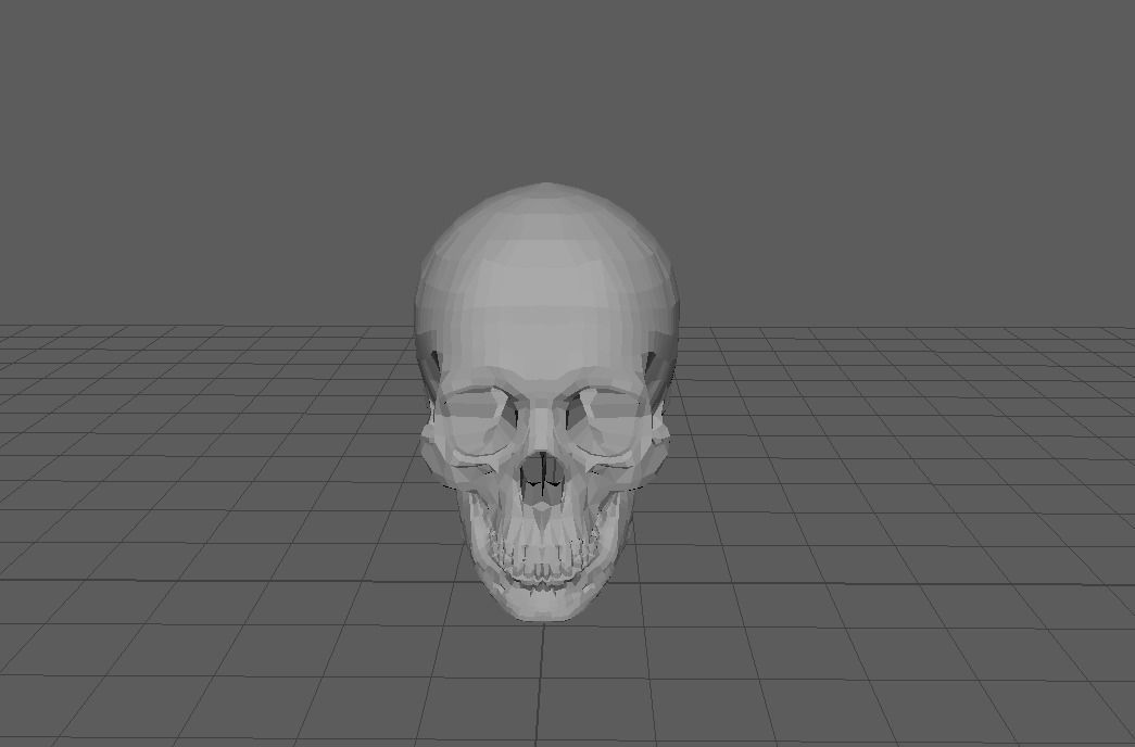 low-cost human skull replica Low-poly 3D model_1