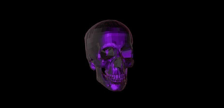 low-cost human skull replica Low-poly 3D model_6
