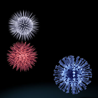 3 virus collection starburst 3D model_10