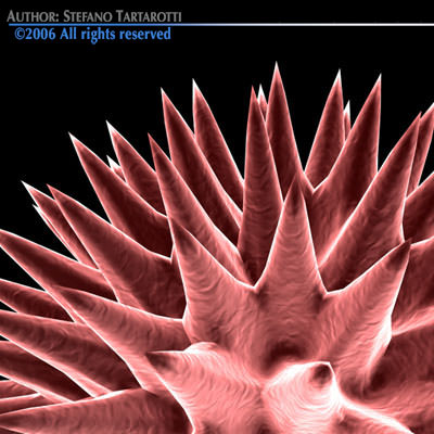 3 virus collection starburst 3D model_7