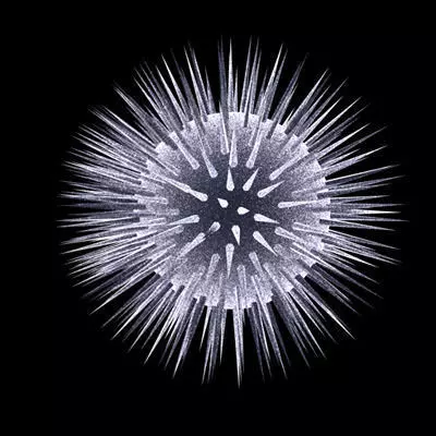 3 virus collection starburst 3D model_0