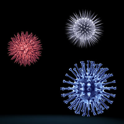3 virus collection starburst 3D model_1