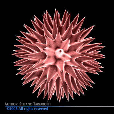 3 virus collection starburst 3D model_9