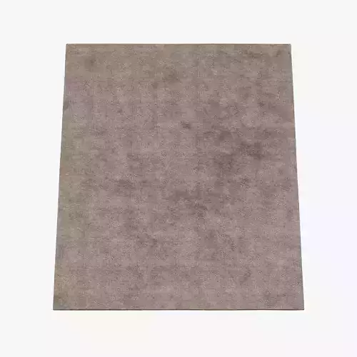 Carpet Rug