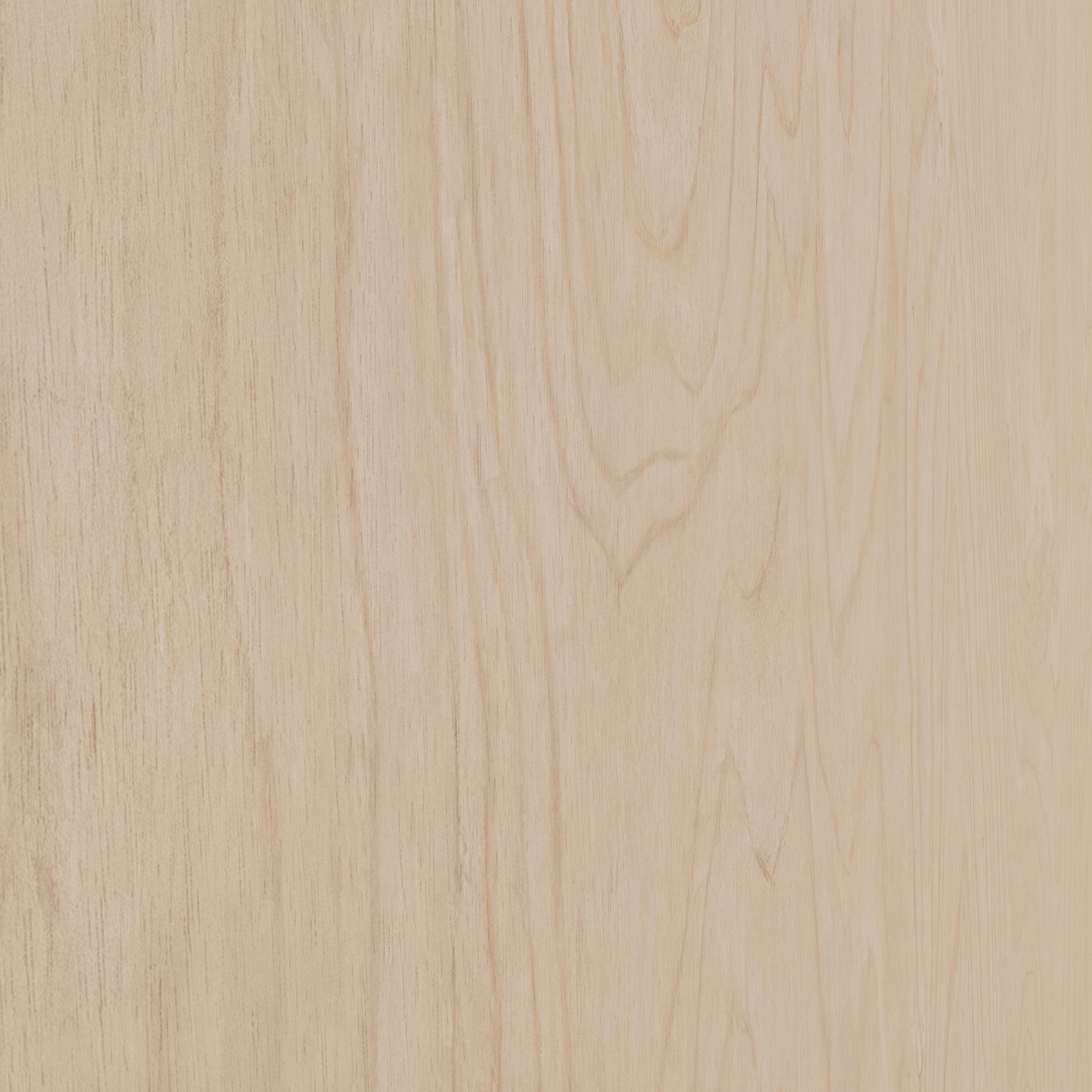 Birch plywood 01 Texture_2
