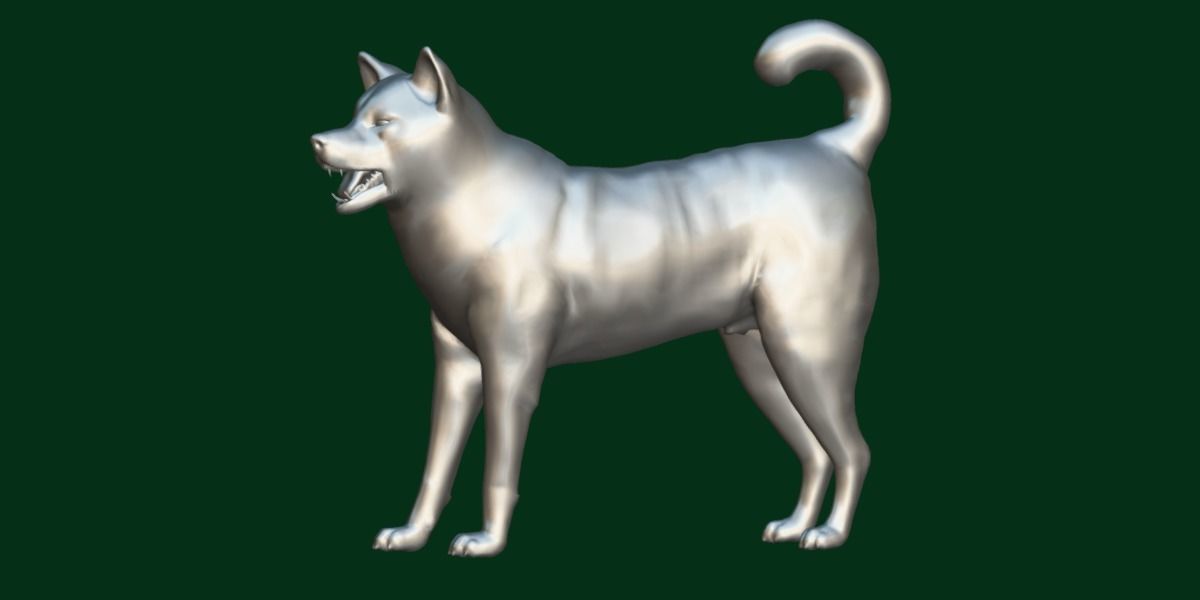 Shikoku Inu Dog Breed 3D model_17
