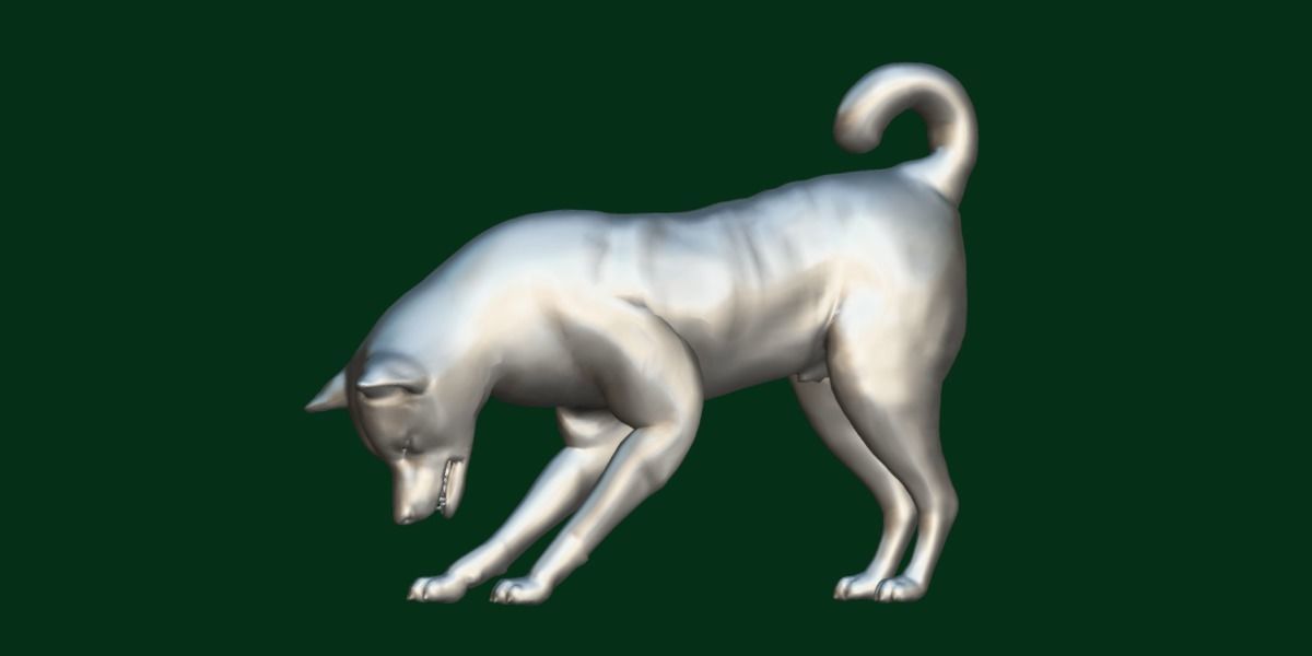 Shikoku Inu Dog Breed 3D model_4