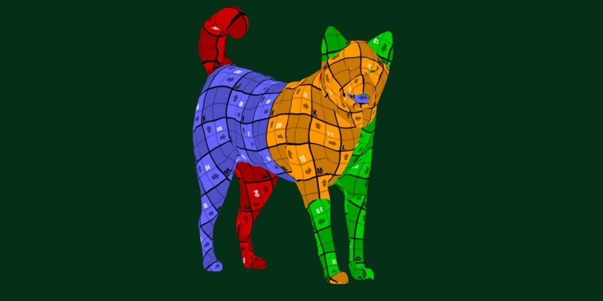 Shikoku Inu Dog Breed 3D model_8