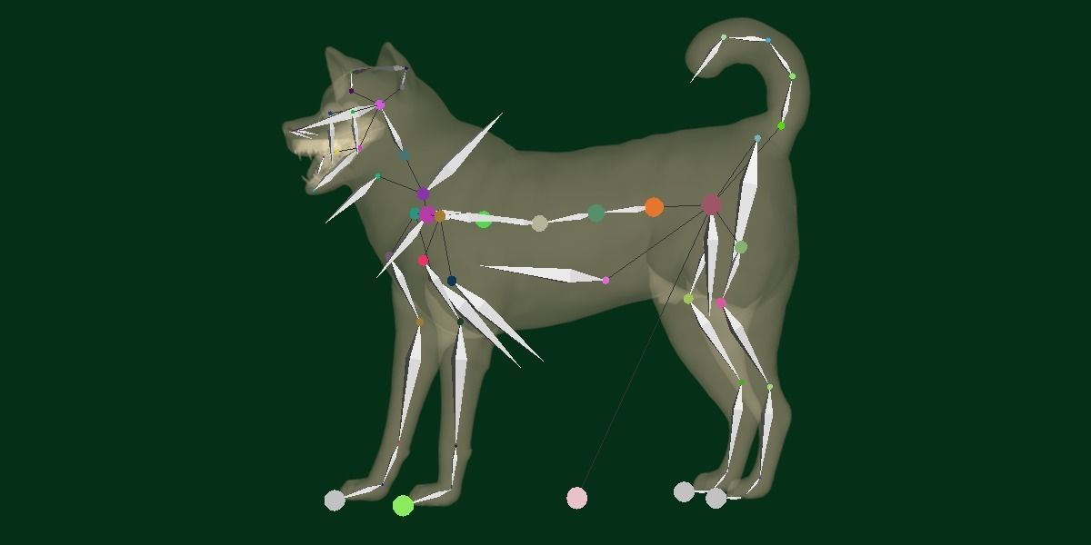 Shikoku Inu Dog Breed 3D model_11
