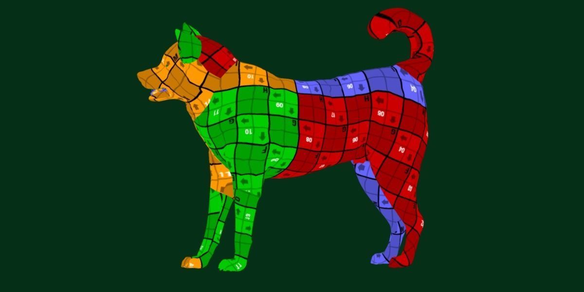 Shikoku Inu Dog Breed 3D model_7