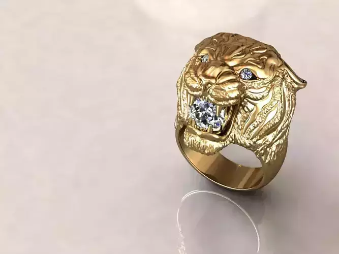 Tigre Ring Carrera y Carrera 8