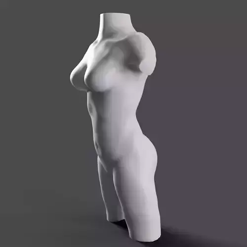 Semi Realistic Female Body