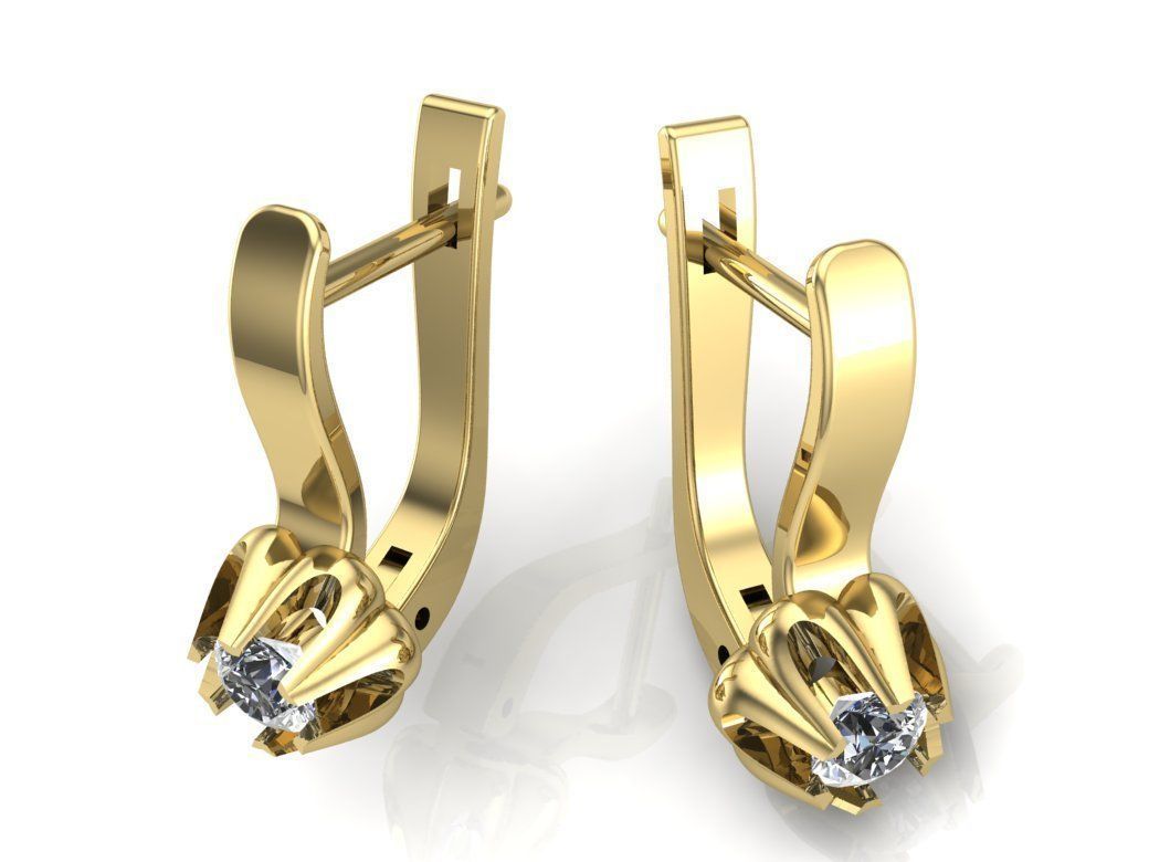 Earrings Beautiful 3D print model_3
