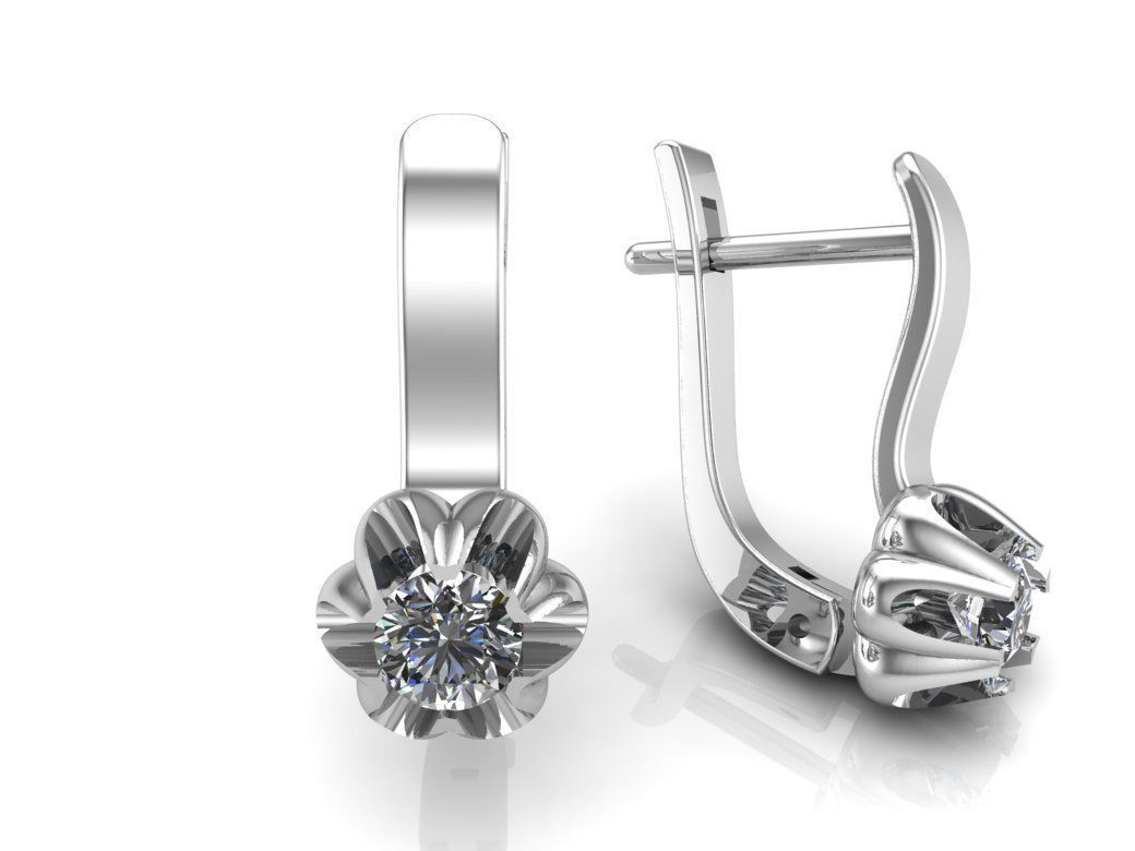 Earrings Beautiful 3D print model_1