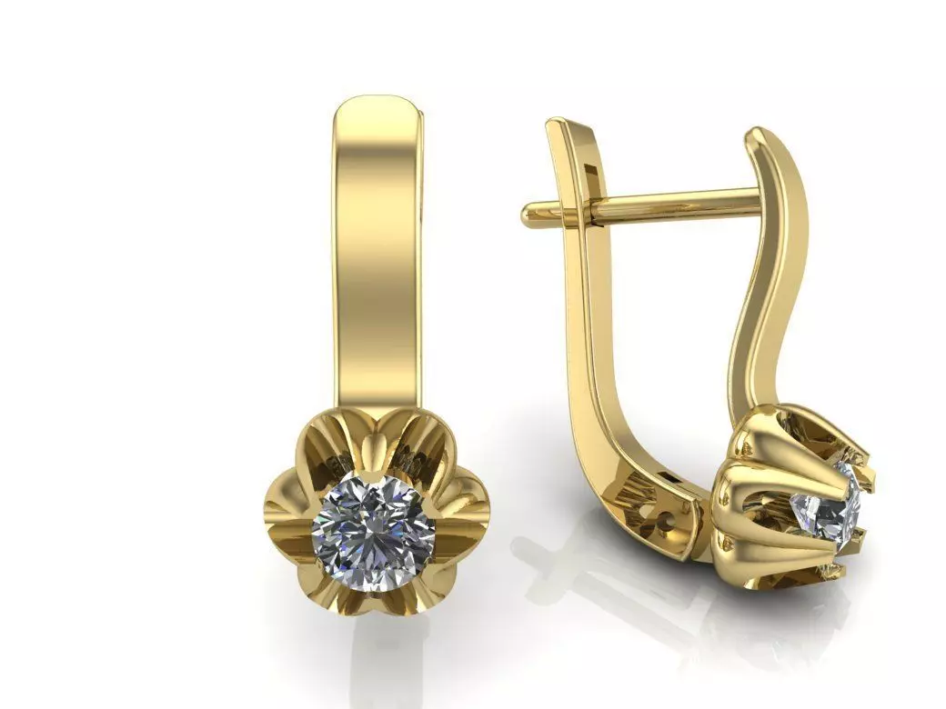 Earrings Beautiful 3D print model_0