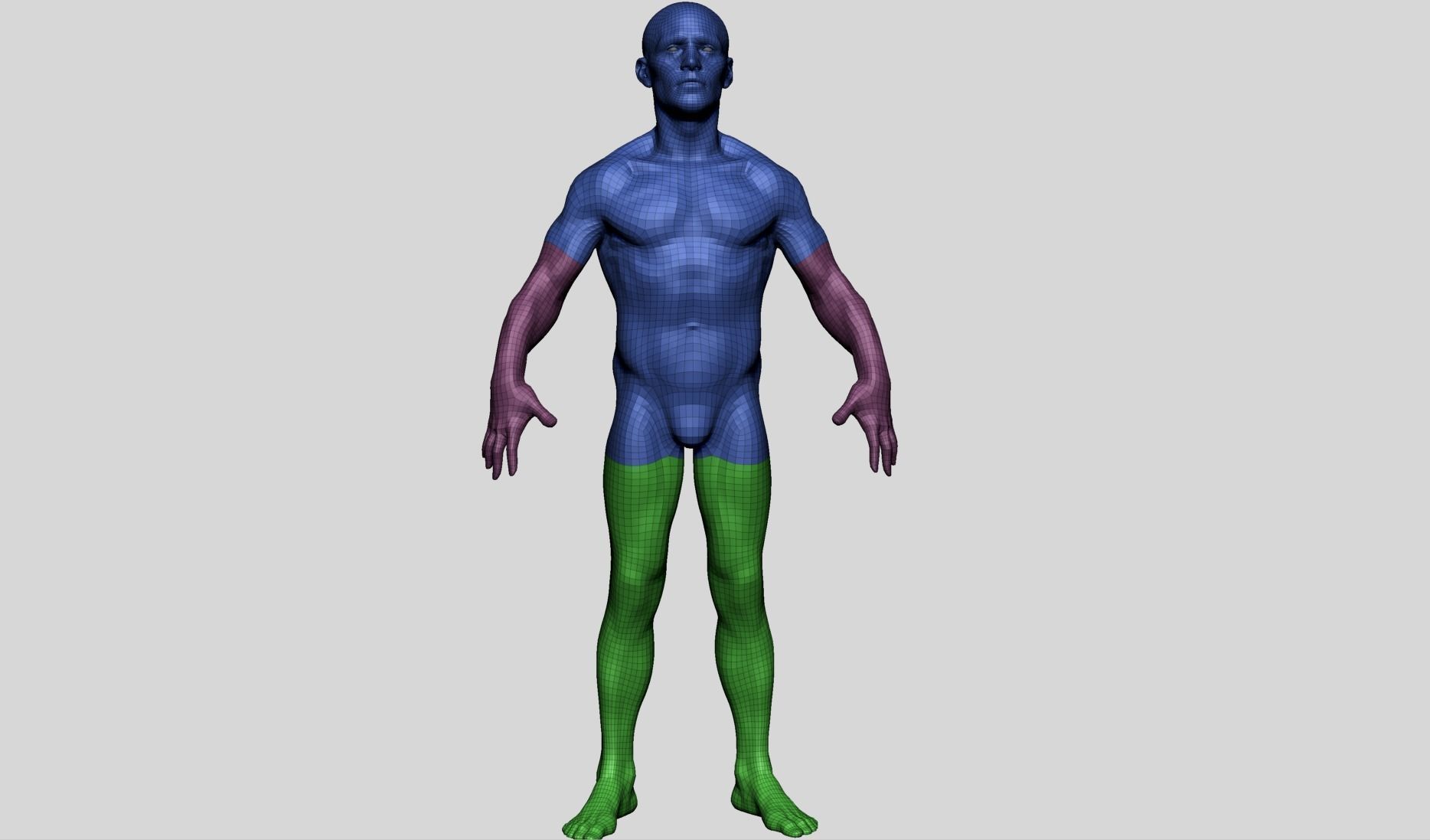 Male Anatomy D 3D model_15
