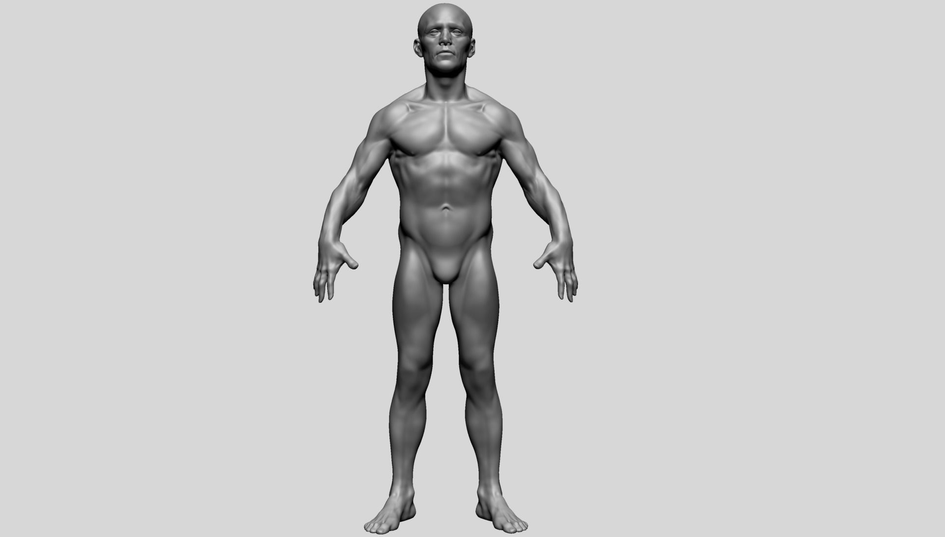 Male Anatomy D 3D model_1