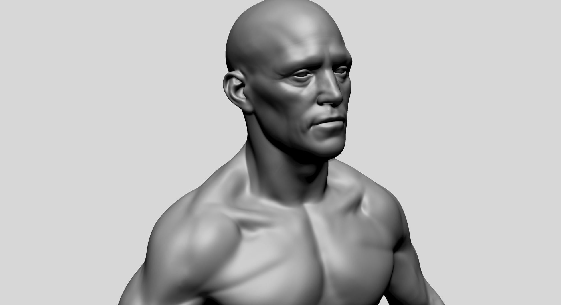 Male Anatomy D 3D model_11