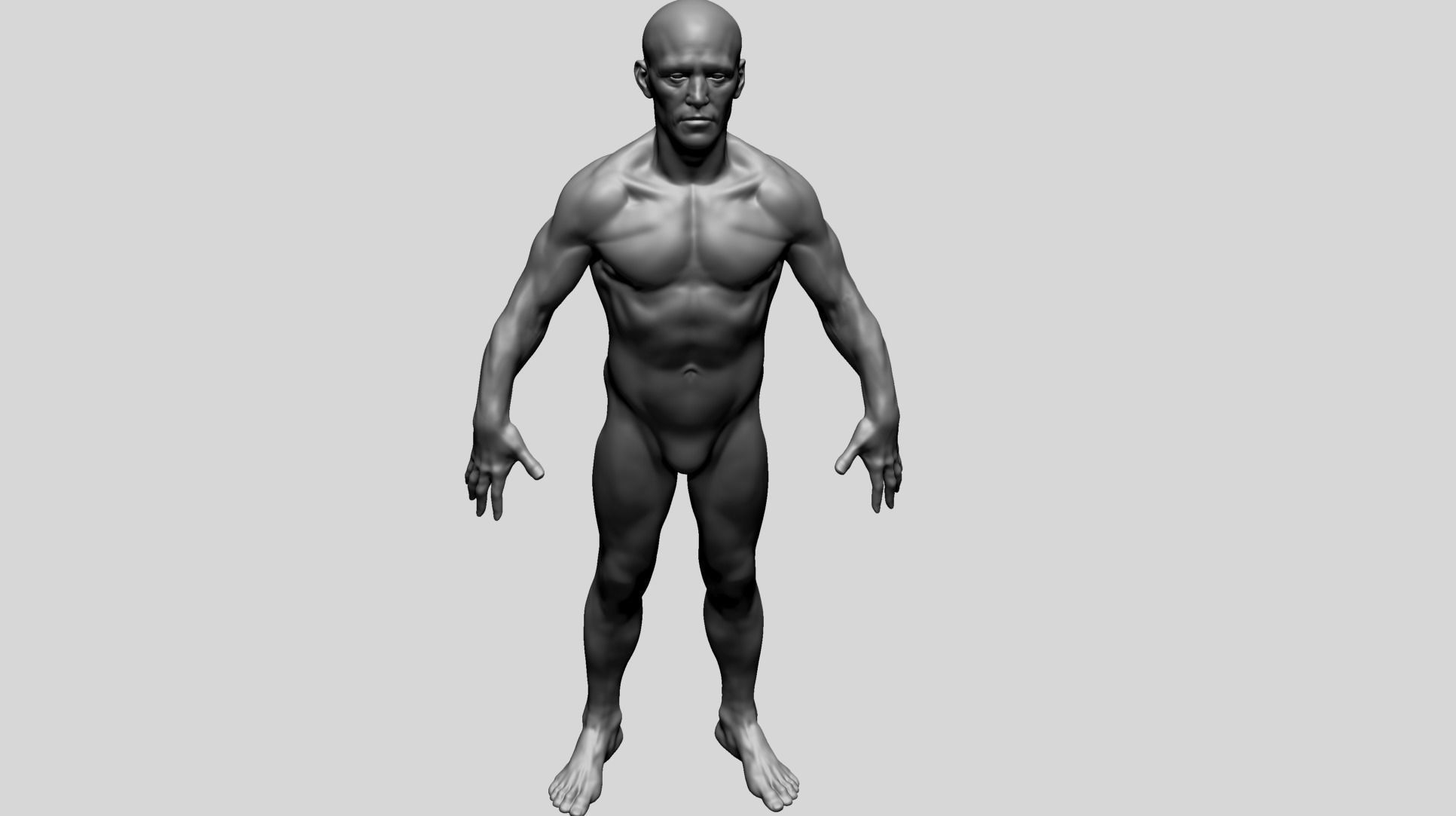 Male Anatomy D 3D model_9