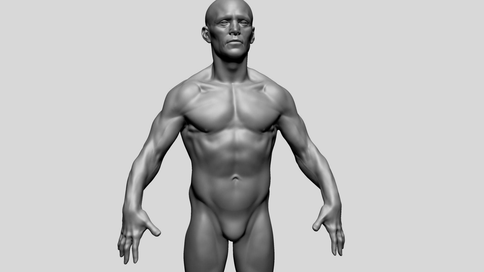 Male Anatomy D 3D model_10