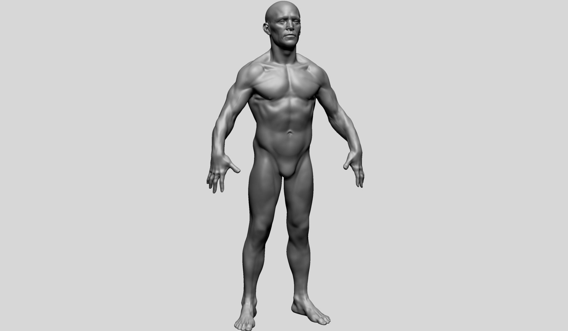 Male Anatomy D 3D model_3
