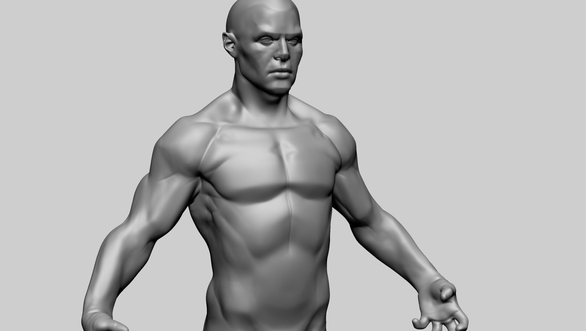 Male Anatomy E 3D model_15