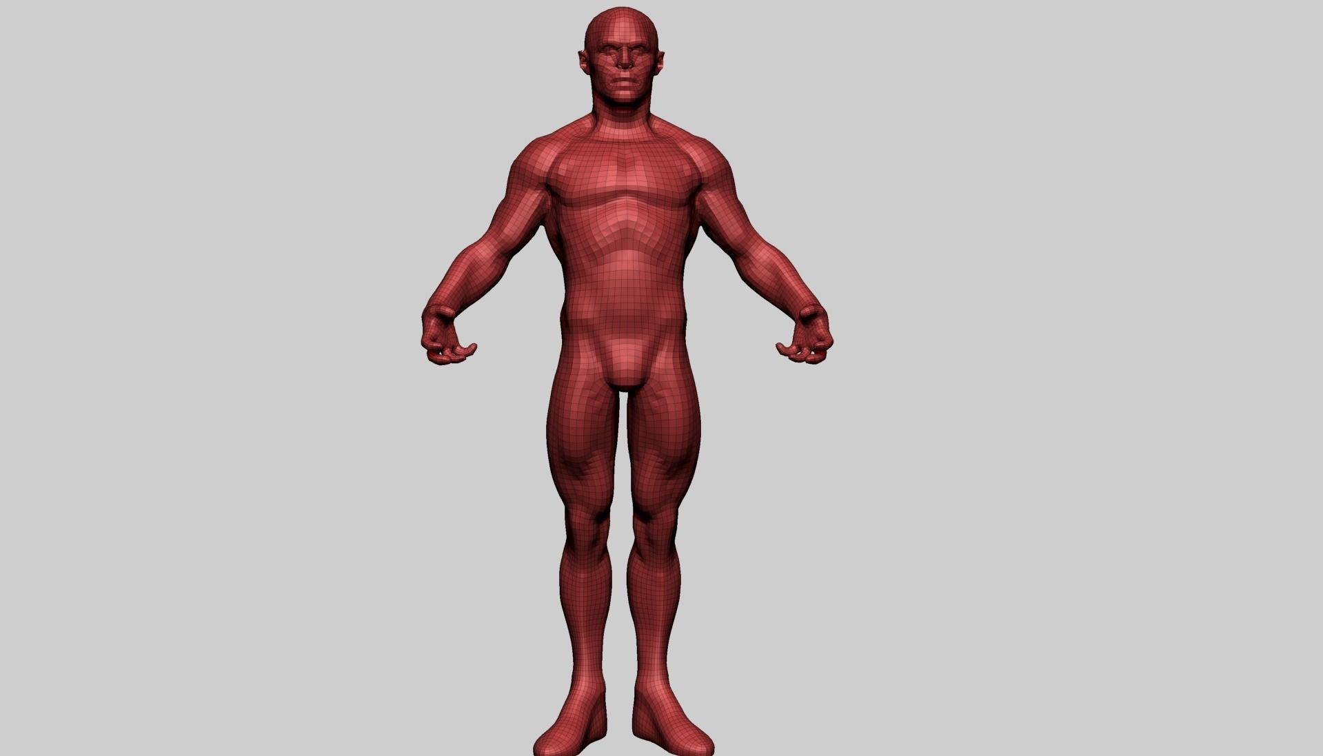 Male Anatomy E 3D model_18