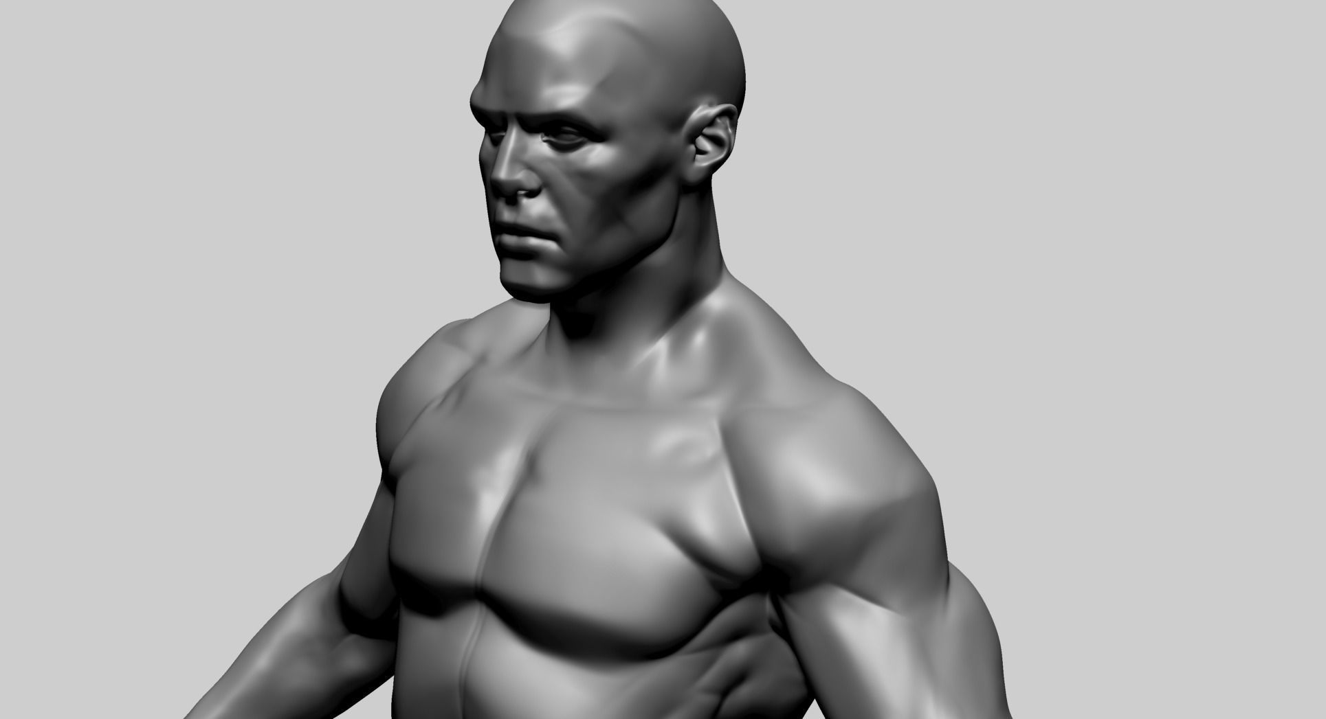 Male Anatomy E 3D model_16
