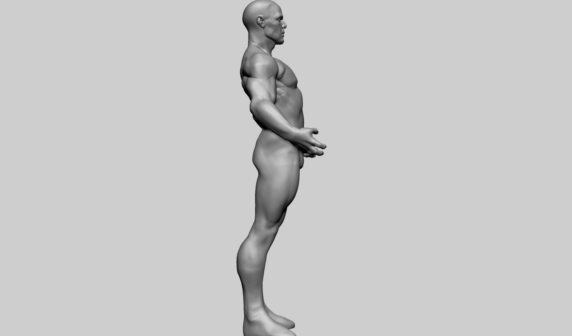 Male Anatomy E 3D model_12
