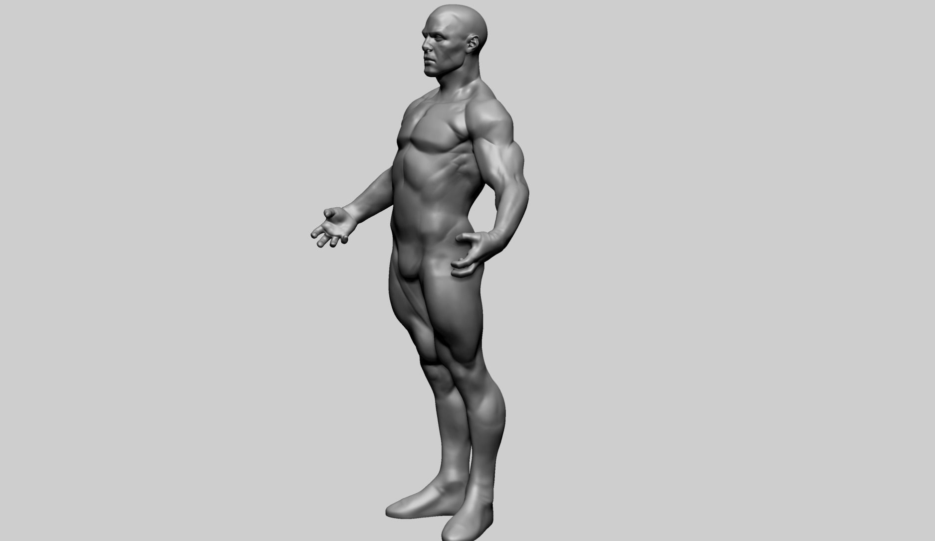 Male Anatomy E 3D model_14