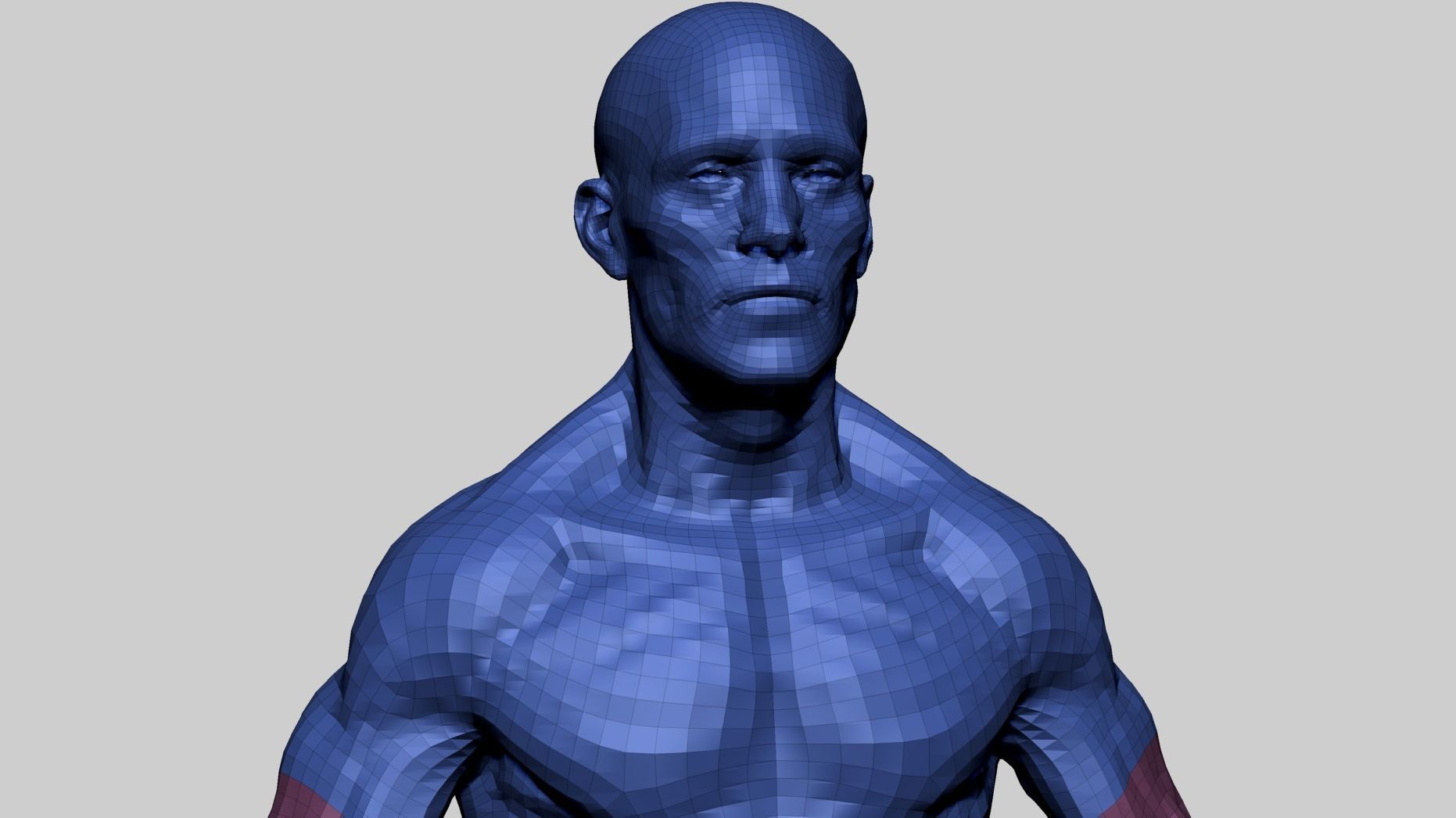 Male Anatomy E 3D model_17