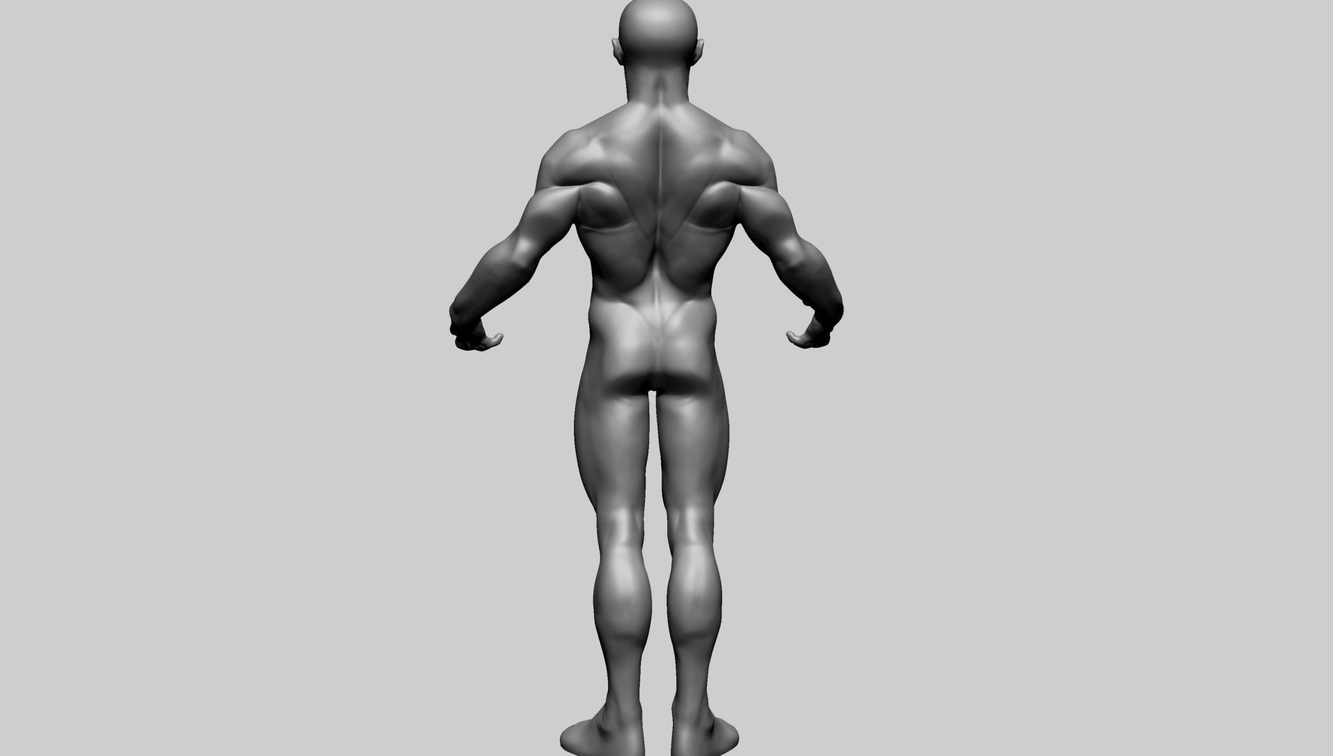 Male Anatomy E 3D model_13