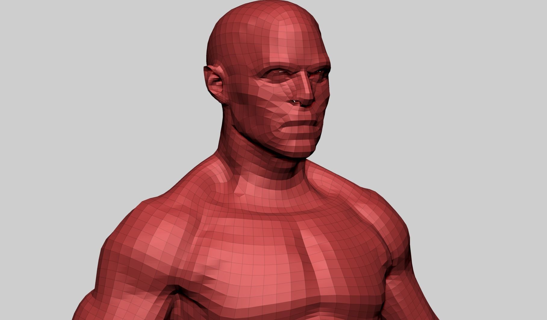 Male Anatomy E 3D model_19