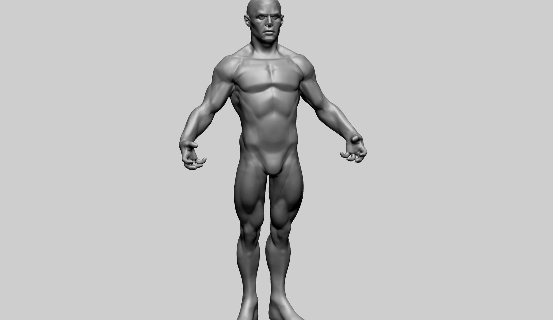 Male Anatomy E 3D model_11